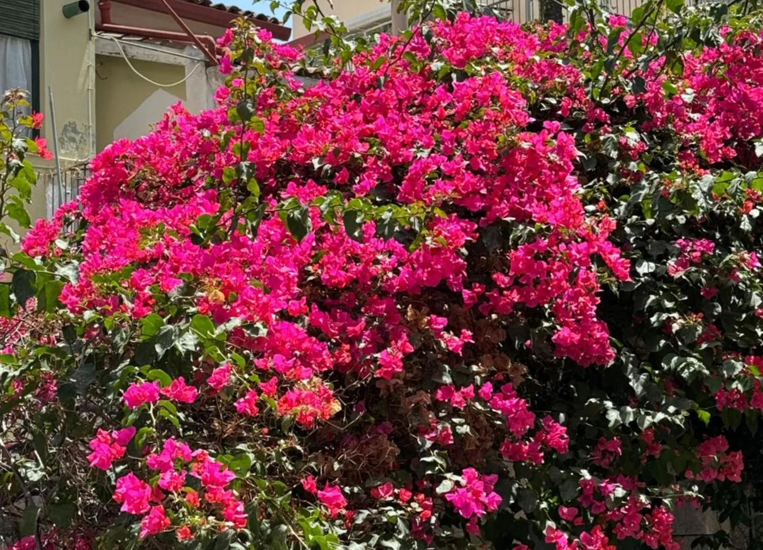Villa Carla, A Charming Villa In The Center Of Taormina